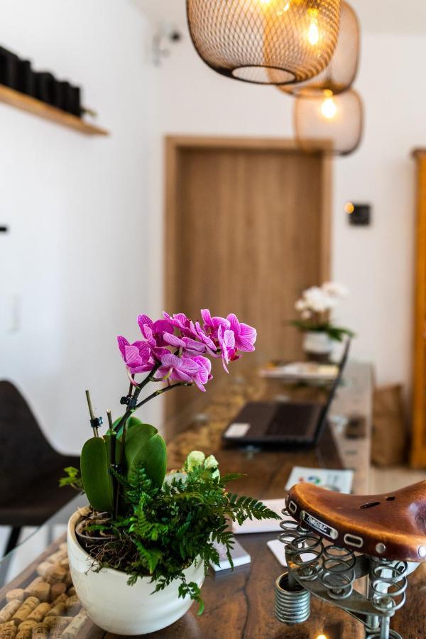 Hotel Clement - Bed & Breakfast Ingelheim am Rhein Exterior foto